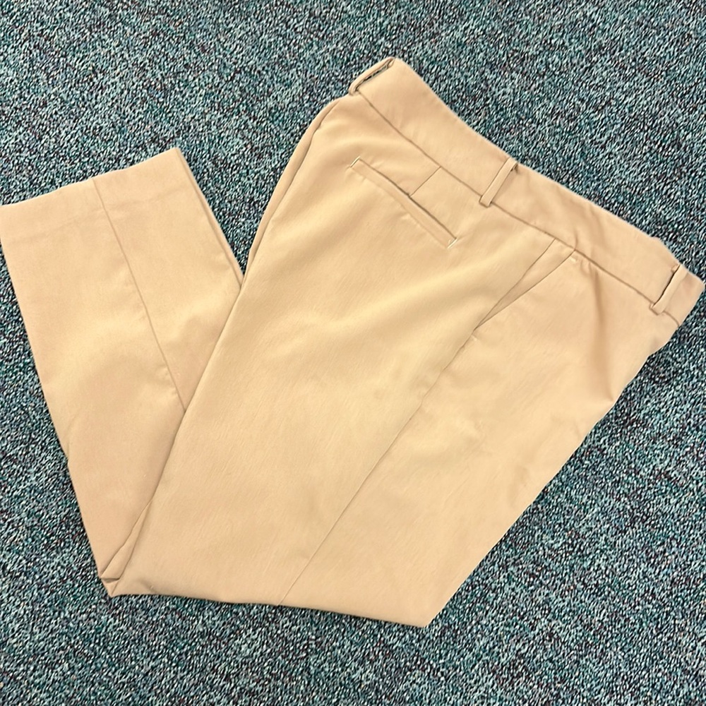 Ann Taylor Pants